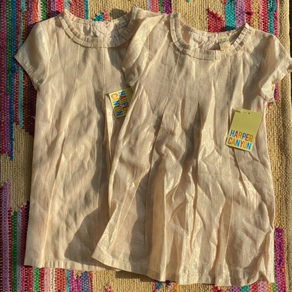 Twins? 2 rose gold shimmery Harper Canyon dresses